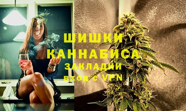 крисы Алзамай